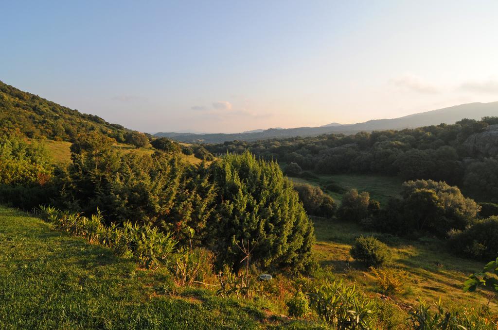 B&B La Murichessa Arzachena Exterior photo